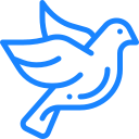 From our farm in New Zealand