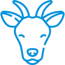 Less-is-more approach